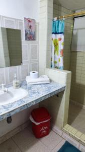 a bathroom with a sink and a shower curtain at Orlando house in Buritaca