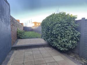 a large green bush next to a fence at The Indigo Escape in Ibstock