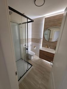 a bathroom with a shower and a toilet and a mirror at Luxury Central Studio in Craiova