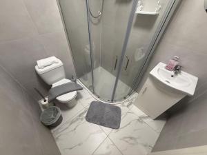 a bathroom with a shower and a toilet and a sink at Sleek 1BR Flat Perfect Getaway For Contractors Or Couples in Cardiff +1 photo