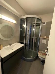 a bathroom with a shower and a sink and a toilet at U limone 2 in Grosseto-Prugna