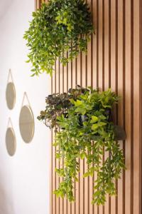 a bunch of plants hanging on a wall at L'Atelier No 8 in Saverne