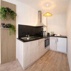 a kitchen with a sink and a counter top at L'Atelier No 8 in Saverne