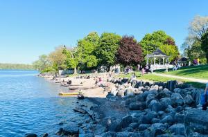 a bunch of animals on the shore of a lake at Barker house-Sweet home in Niagara-on-the-Lake
