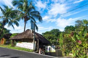 Gallery image of Hostel Wunderbar in Puerto Lindo