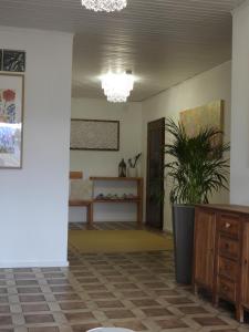 a hallway with a potted plant in a room at Casa Diego in Spielberg