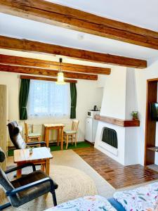 a living room with a couch and a fireplace at Pension a apartmány Hanna in Železná Ruda