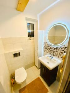 a bathroom with a sink and a toilet and a mirror at Chata Nova in Milejczyce +29 photos