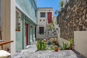 a narrow alley with plants and a stone wall at A-Típica GuestHouse in Ponta Delgada