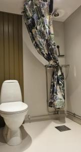 a bathroom with a toilet and a curtain at Lindeborgs gröna rum in Tvååker +14 photos