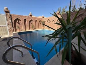 a swimming pool with a plant next to a building at Sahari house in Al Aqālitah