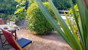 a table and chairs in a garden with plants at Faial Cottage in Cedros