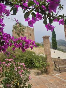 a bunch of purple flowers in front of a building at 2 Duplex Las Terrazas Cubes in Vélez de Benaudalla