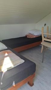a bedroom with two beds and a desk with a laptop at Tåsinge camping og Grill in Svendborg