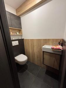 a bathroom with a toilet and a sink at Maison chaleureuse de village - location logement entier in Lanans