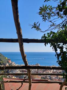 a view of the ocean from a house at Il nido dei nonni in Maiori +10 photos