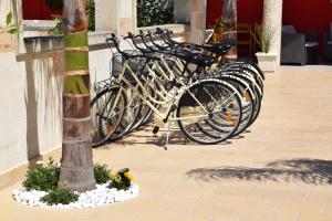 a row of bikes parked next to a tree at B&B Lizia in Porto Cesareo