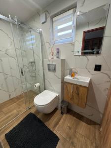 a bathroom with a shower and a toilet and a sink at Zacisze Osławy Agroturystyka in Wysoczany