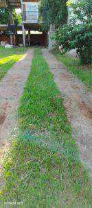 a grassy path in front of a building at Iguazú Home & Relax in Puerto Iguazú