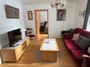 a living room with a couch and a tv at Spacious Apartment -Top Location in Akureyri
