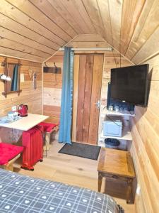a room with a bed and a tv in a cabin at La Tiny de Lili in Draveil