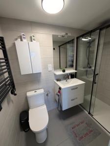 a bathroom with a toilet and a sink and a shower at La Parenthèse coté Saar in Wittring +17 photos