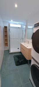 a bathroom with a shower and a sink and a mirror at Le balcon du square in Rennes