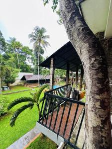 a porch of a house next to a tree at Airport Heritege in Negombo