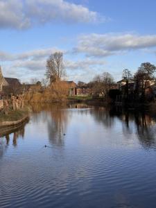 a river with two ducks swimming in the water at The Lazy Fox, Shrewsbury in Shrewsbury