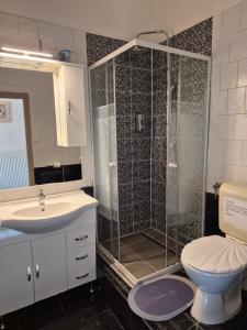 a bathroom with a shower and a toilet and a sink at Eitans Guesthouse in Budapest
