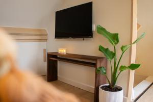 a living room with a tv and a potted plant at Polderloft 27 in Hengstdijk