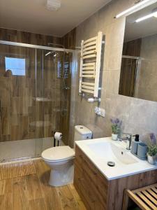 a bathroom with a toilet and a sink and a shower at Dolina Świtu in Pokrzywna
