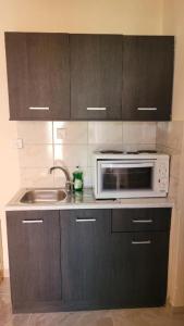 a kitchen with a microwave and a sink at Sundive Apartments in Limenas +7 photos