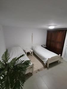 a bedroom with a bed and a plant in it at Studio Cosy in Tunis