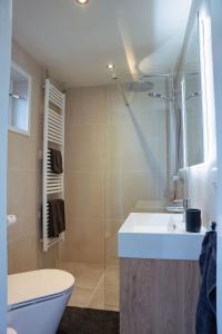 a bathroom with a sink and a toilet and a shower at Duijnparadijs appartement 2 in Schoorl +2 photos