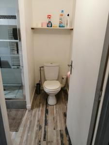 a bathroom with a toilet and a walk in shower at Spacieux T3 lumineux dans quartier historique avec wifi in Redon +24 photos