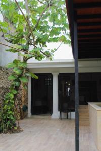 a porch of a building with a tree in the foreground at House with pool in downtown Merida, Yucatan in Mérida