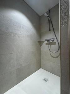 a shower with a shower head in a bathroom at Charmant pied à terre entre lac et montagne in Bourdeau +11 photos