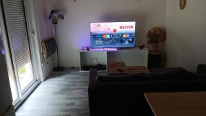 a living room with a tv and a couch at 2 Chambres, 4 personnes, jardin, proche centre ville in Perpignan