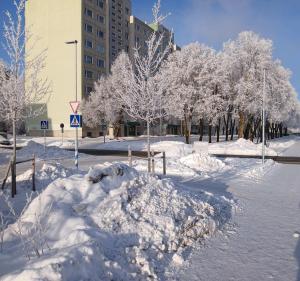 a pile of snow in front of trees with buildings at Anni Apartment in Tallinn
