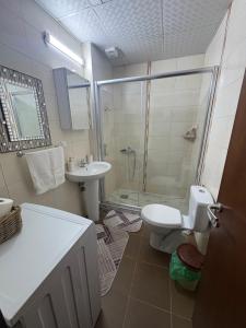 a bathroom with a shower and a toilet and a sink at Dolce Casa E K in Strumica +25 photos