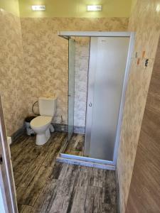 a bathroom with a toilet and a shower stall at LeGora in Pryborzhavsʼke +40 photos