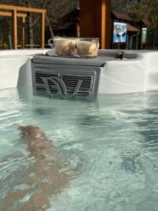 a heater in the water with two cups on it at Erdő mellett lebzselő in Mogyoróska