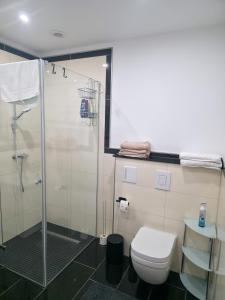 a bathroom with a glass shower and a toilet at Weserblick Apartment Stolzenau 24h Selfcheckin in Stolzenau +2 photos