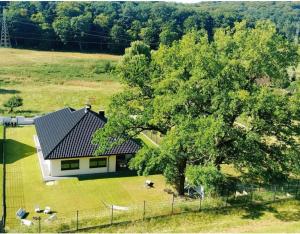 an aerial view of a house with a tree at Domek pod Lasem in Wapnica