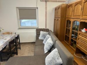 a living room with a couch and a table at Apartments Barbra - Robinson life in Slovenj Gradec +16 photos