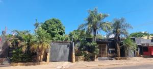 a gate in a street with palm trees at Depa más pileta en Ypane in Ypane