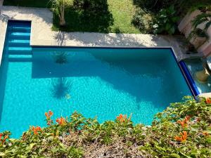 an overhead view of a blue swimming pool with flowers at MiraLago Pool Paradise in San Antonio