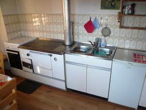 een keuken met een spoelbak en een fornuis bij Almhütte Egger Obheimat in Außervillgraten
