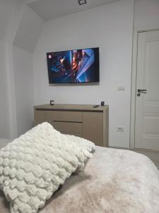 a bedroom with a bed with a tv on the wall at Casa Florescu in Craiova